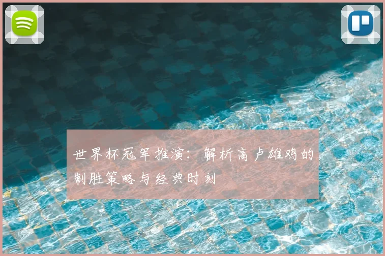 世界杯冠军推演：解析高卢雄鸡的制胜策略与经典时刻