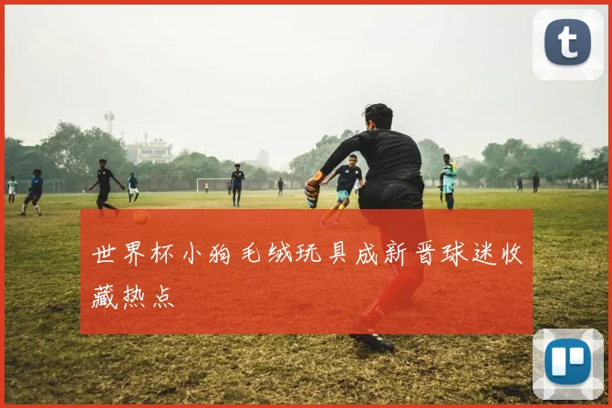 世界杯小狗毛绒玩具成新晋球迷收藏热点