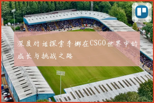 深度对话探索李娜在CSGO世界中的成长与挑战之路