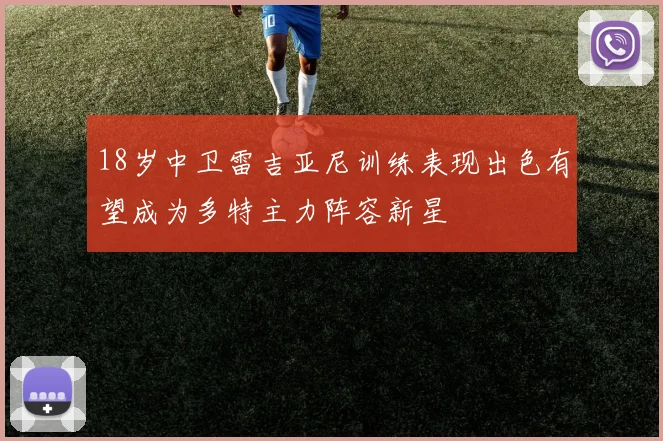 18岁中卫雷吉亚尼训练表现出色有望成为多特主力阵容新星