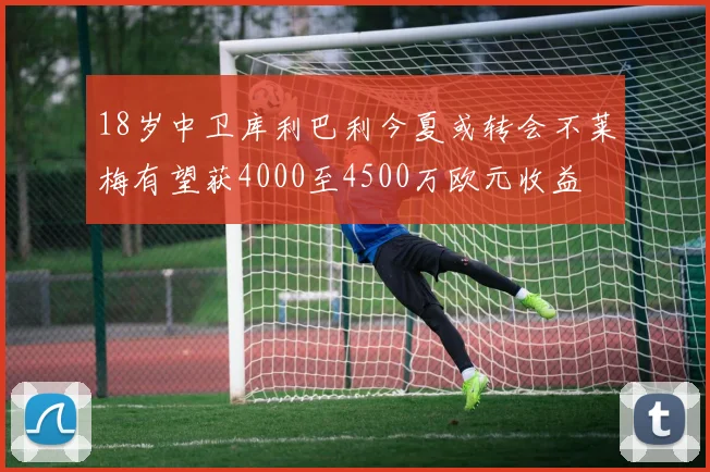 18岁中卫库利巴利今夏或转会不莱梅有望获4000至4500万欧元收益