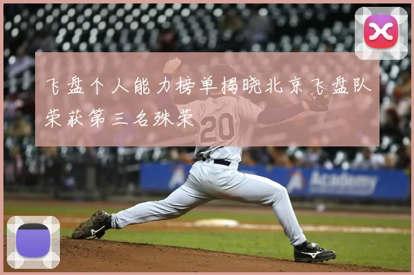 飞盘个人能力榜单揭晓北京飞盘队荣获第三名殊荣