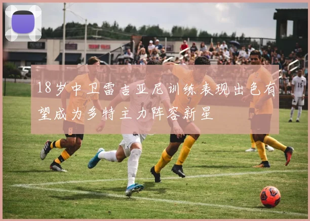 18岁中卫雷吉亚尼训练表现出色有望成为多特主力阵容新星