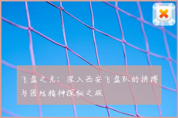 飞盘之光：深入西安飞盘队的拼搏与团结精神探秘之旅